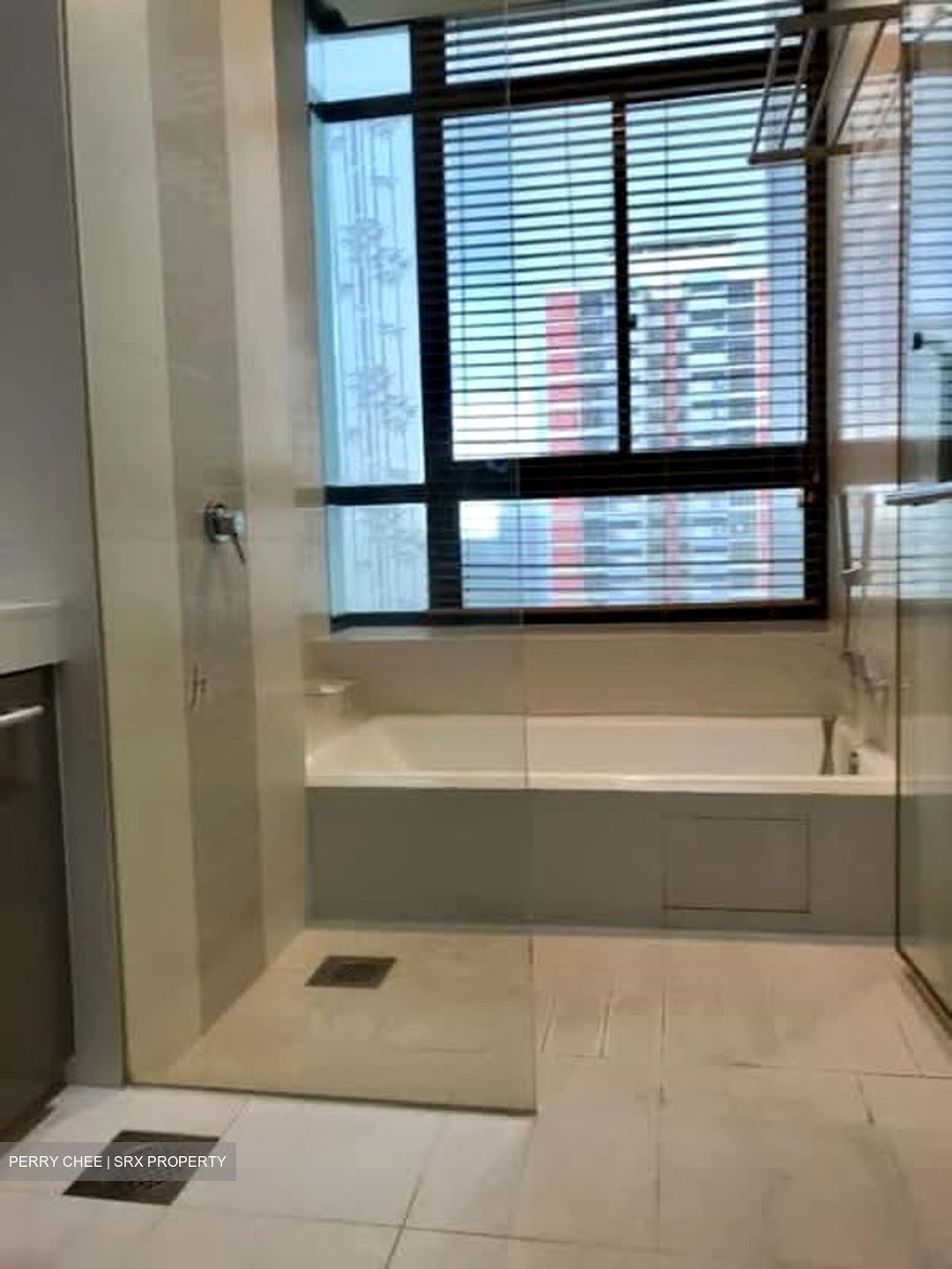 The Citrine (D12), Apartment #539119131